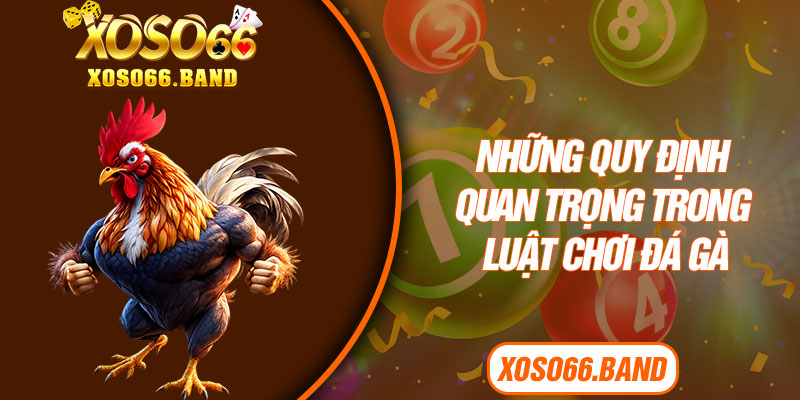 Những quy định quan trọng trong luật chơi đá gà