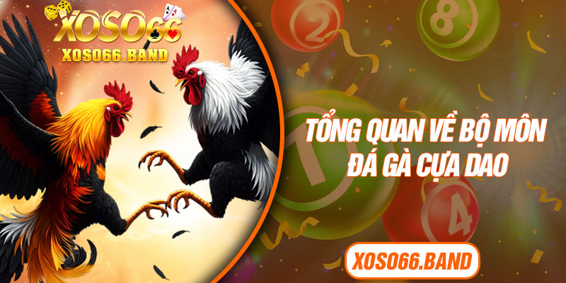 Tổng quan về bộ môn đá gà cựa dao